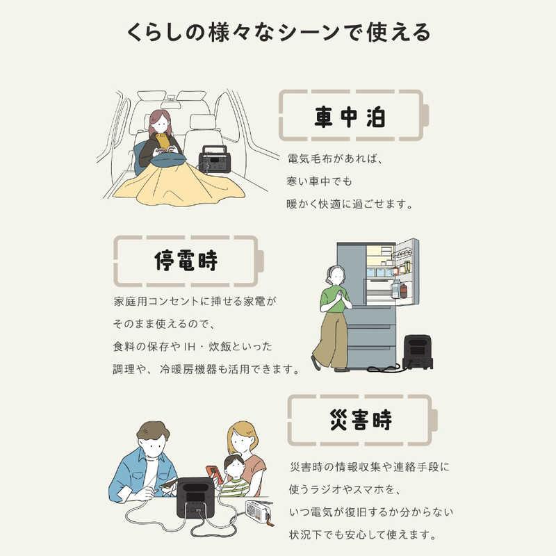 エレコム　ELECOM　ポータブル電源 2560Wh (AC×4 Type-C×2 USB-A×4 カーアクセサリーソケット×1 アンダーソン×1) ブラック　DE-PS2500PBKの画像