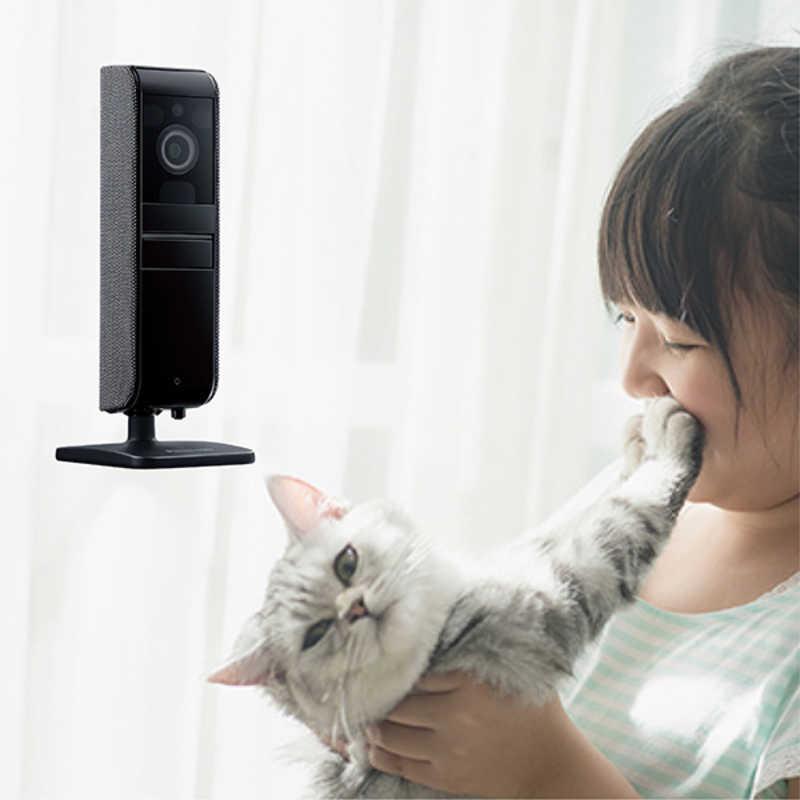 Panasonic（パナソニック） ホームネットワークシステム 屋内HDカメラ