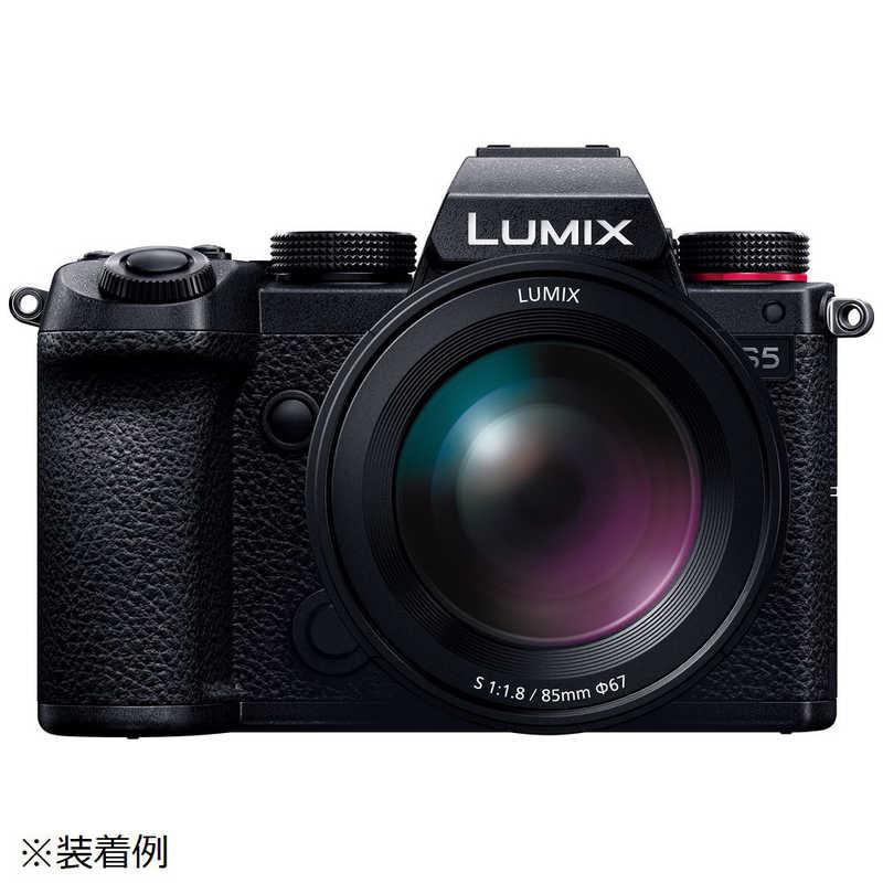 Panasonic（パナソニック） カメラレン (ライカL /単焦点レンズ) LUMIX