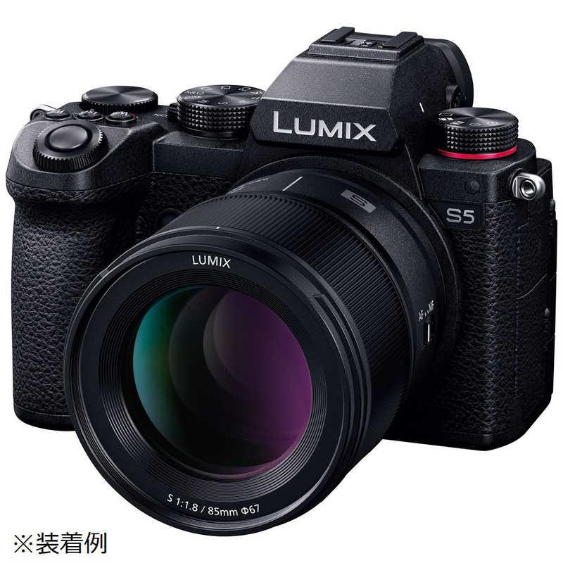 Panasonic（パナソニック） カメラレン (ライカL /単焦点レンズ) LUMIX