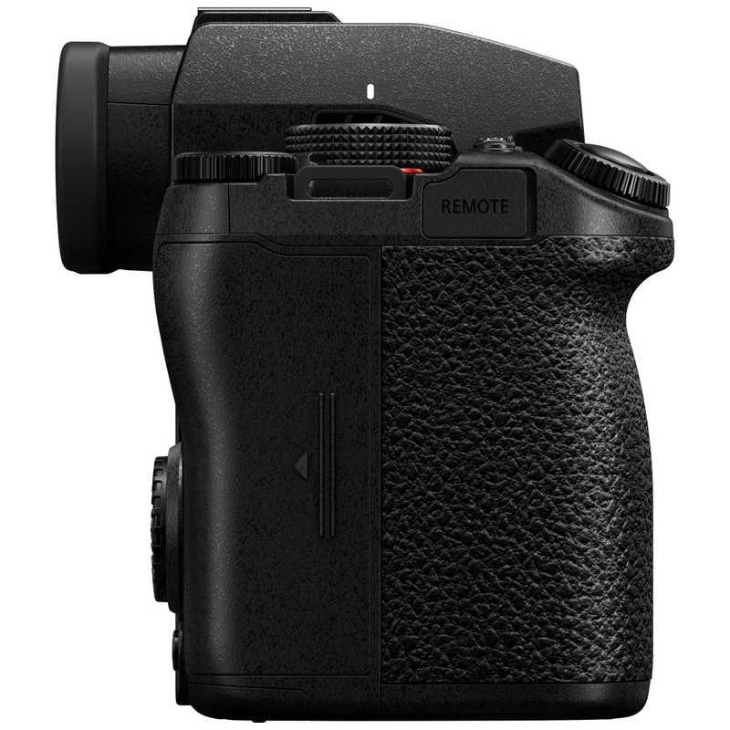 パナソニック Panasonic ミラーレス一眼カメラ LUMIX S5II ボディ DC 