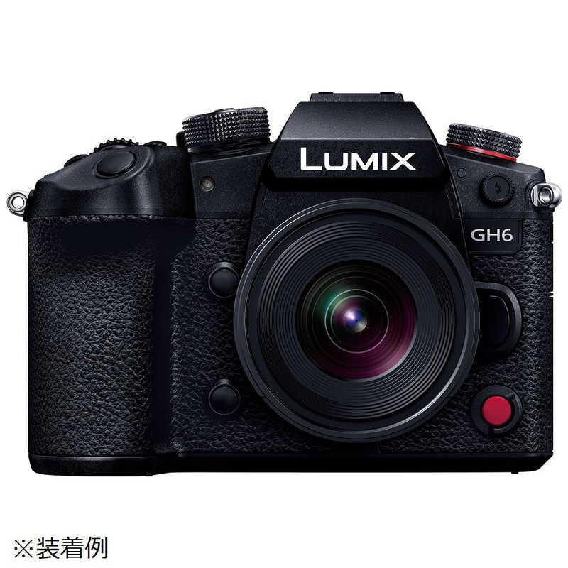 パナソニック Panasonic カメラレンズ LEICA DG SUMMILUX 9mm/ F1.7