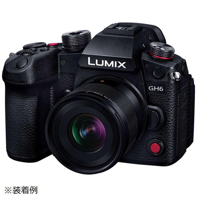 パナソニック Panasonic カメラレンズ LEICA DG SUMMILUX 9mm/ F1.7