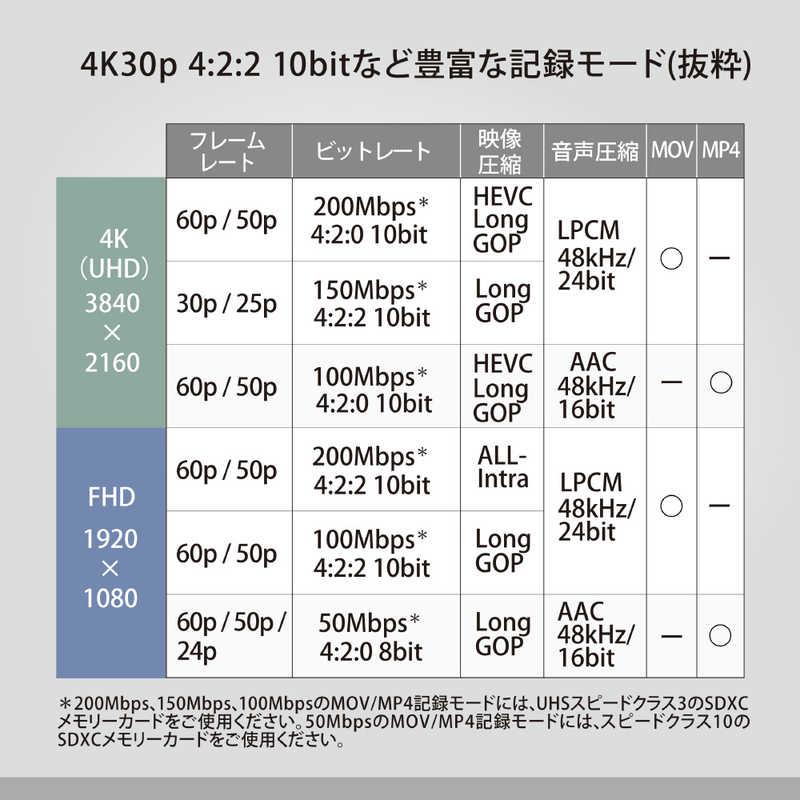 パナソニック Panasonic デジタル4Kビデオカメラ ブラック [4K対応] HC-X20-Kの画像