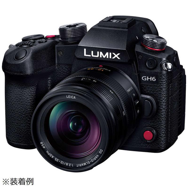 パナソニック Panasonic カメラレンズ LEICA DG VARIO-ELMARIT 12-35mm
