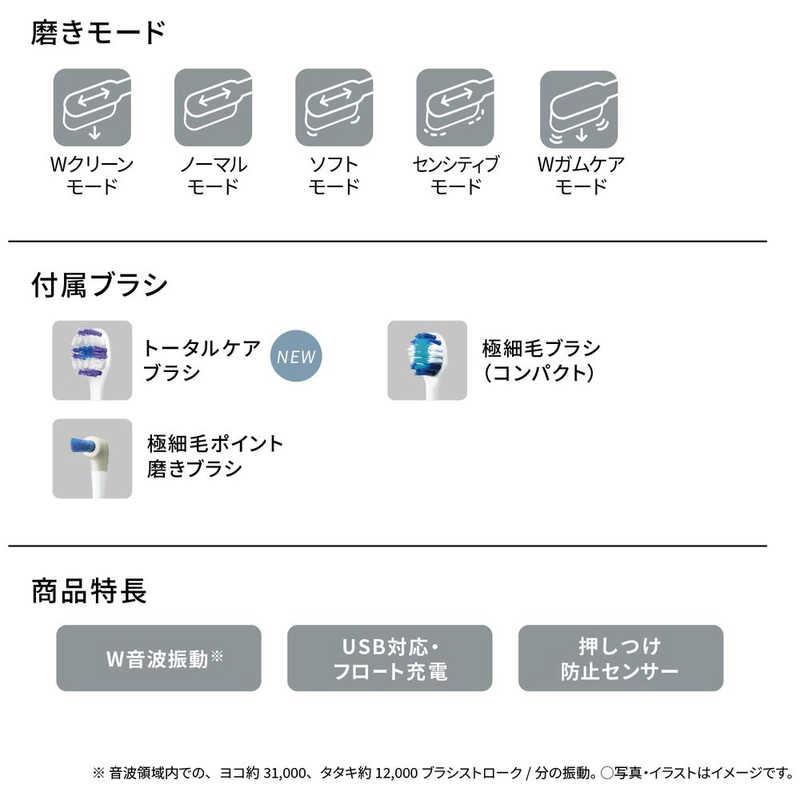 パナソニック Panasonic 電動歯ブラシ Doltz (ドルツ) シルバー パナソニック Panasonic 電動歯ブラシ Doltz (ドルツ) シルバー