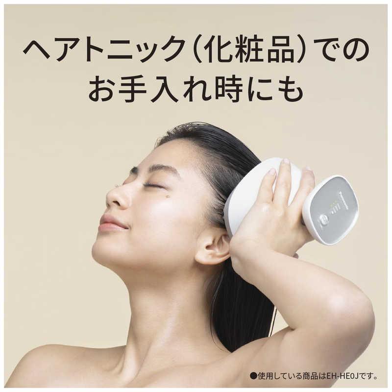 Panasonic（パナソニック） ヘッドスパ 国内・海外兼用 AC100-240V