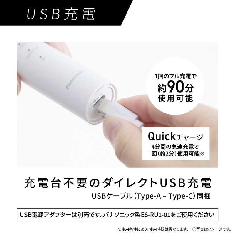 パナソニック Panasonic 電動歯ブラシ [ドルツ /音波振動式 パナソニック Panasonic 電動歯ブラシ [ドルツ /音波振動式