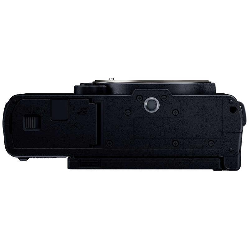 パナソニック Panasonic ミラーレス一眼カメラ LUMIX S9 ボディ DC-S9