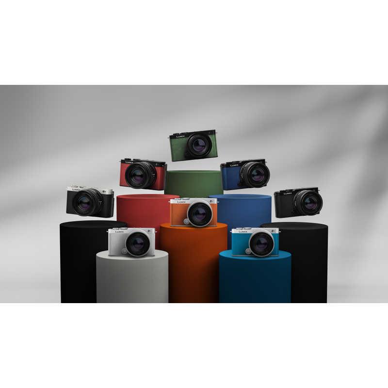 パナソニック Panasonic ミラーレス一眼カメラ LUMIX S9 広角