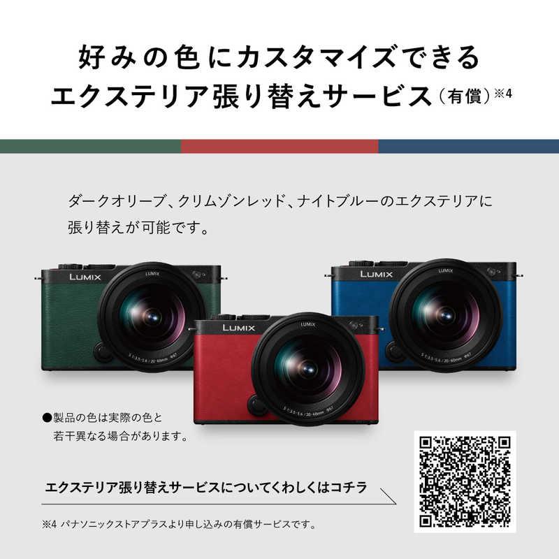 パナソニック Panasonic ミラーレス一眼カメラ LUMIX S9 高倍率ズーム