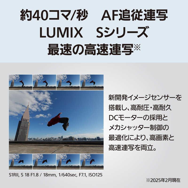 パナソニック　Panasonic　ミラーレス一眼カメラ［ズームレンズ］ ルミックス ブラック　DC-S1RM2M_2