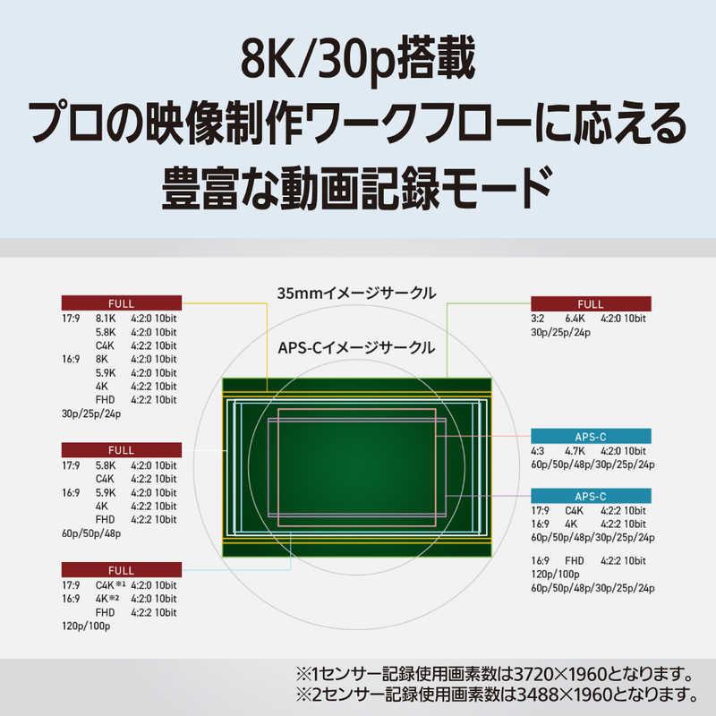パナソニック　Panasonic　ミラーレス一眼カメラ［ズームレンズ］ ルミックス ブラック　DC-S1RM2M_3