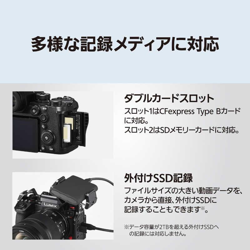パナソニック Panasonic ミラーレス一眼カメラ LUMIX S1II ［ ボディ
