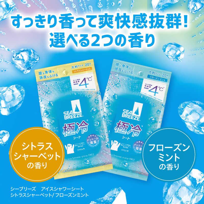 ファイントゥデイ シーブリーズ アイスシャワーシート シトラス