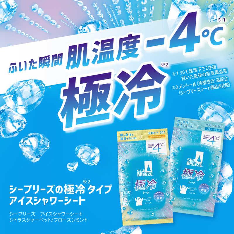 ファイントゥデイ シーブリーズ アイスシャワーシート シトラス
