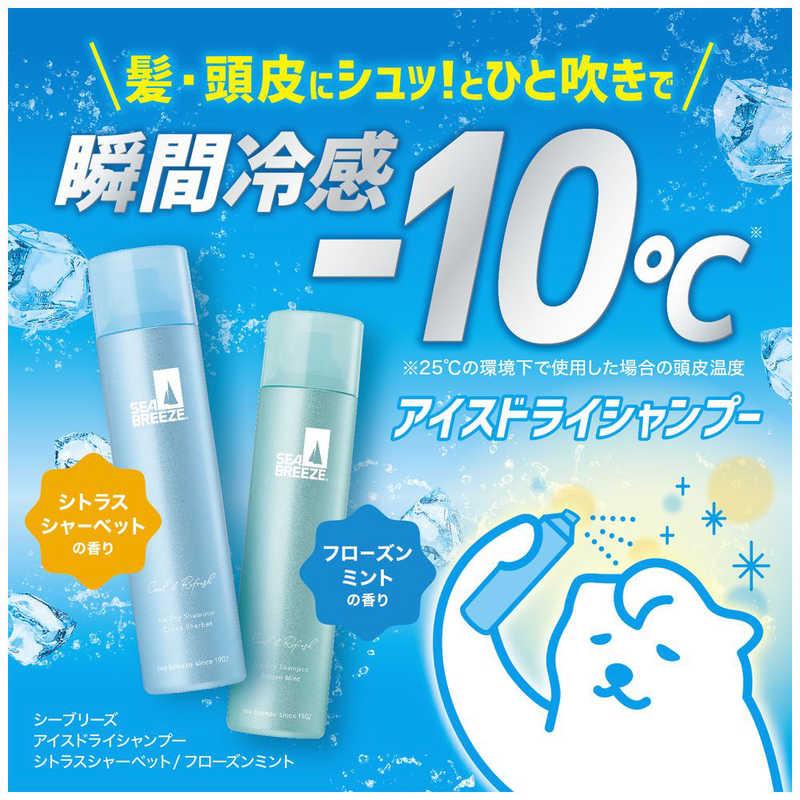 ファイントゥデイ シーブリーズ アイスドライシャンプー フローズン