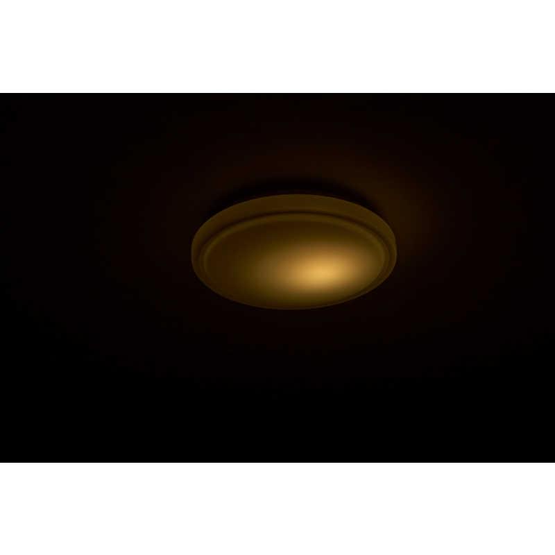 ドウシシャ LED照明 シーリングライト 8畳 昼白色 Luminous LED