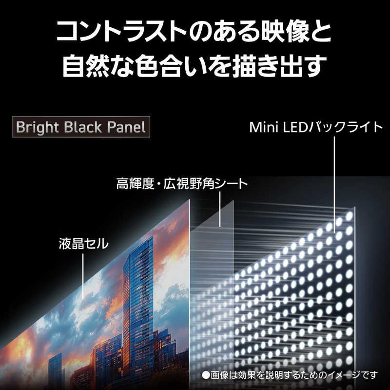 パナソニック Panasonic Mini LED液晶テレビ VIERA ビエラ W95C 43V型
