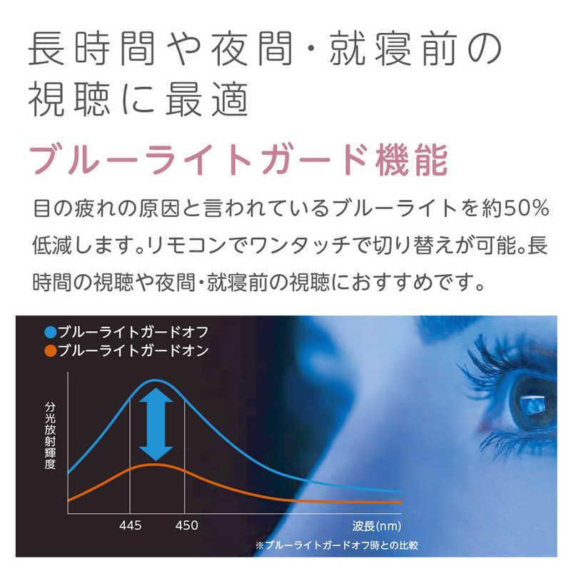 オリオン電機 液晶テレビ 24V型 ハイビジョン YouTube対応 Bluetooth