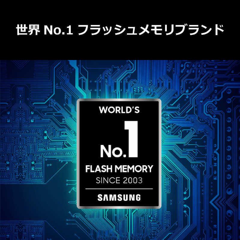 SAMSUNG 内蔵SSD PCI-Express接続 2TB [2TB /M.2] MZ-V8P2T0C/IT