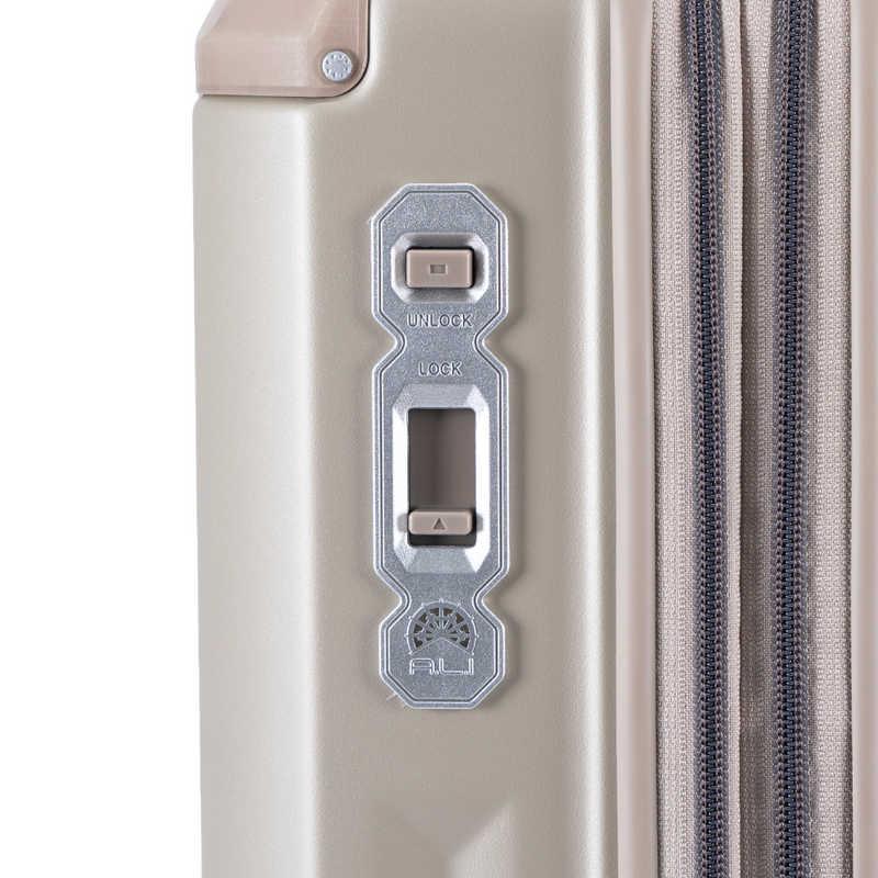 A.L.I　スーツケース ジッパータイプ デカかるEdge2 宿泊目安：7〜9日間 [TSAロック搭載 / 72L] マットシャンパンゴールド　ALI-090-24Wの画像