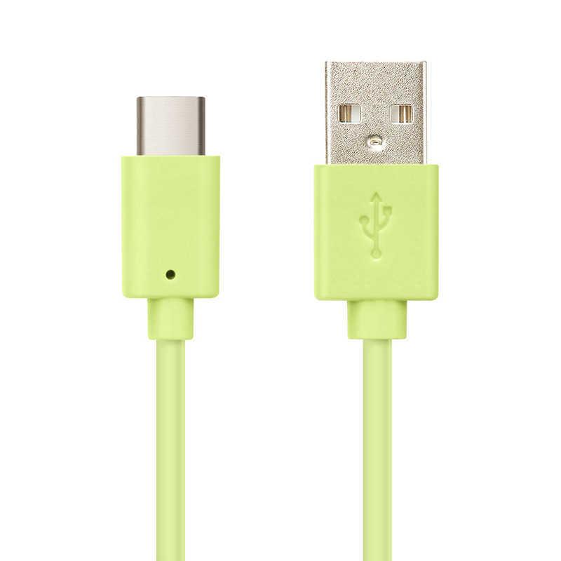 PGA PGA USB Type-C USB Type-A コネクタ USBケーブル 1.2m グリーン PG-CUC12M15 : コジマ ...