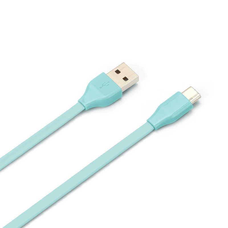 PGA PGA USB Type-C USB Type-A コネクタ USBフラットケーブル 50cm ブルー PG-CUC05M18 ...