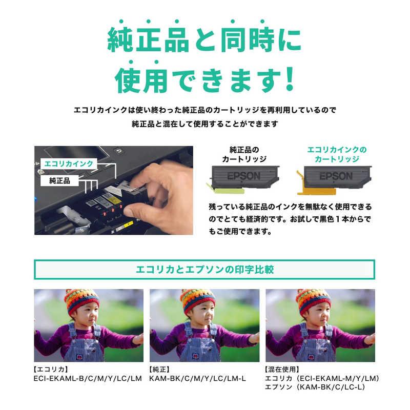 エコリカ　互換リサイクルインクカートリッジ [キヤノン BCI-381+380/5MP] 5色パック 　ECI-C381-5P |  | 05
