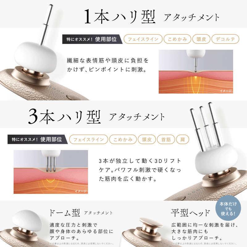 日創プラス NIPLUX ニップラックス BEGUN ビガン 美顔 ブラック NP-BG25BKの画像