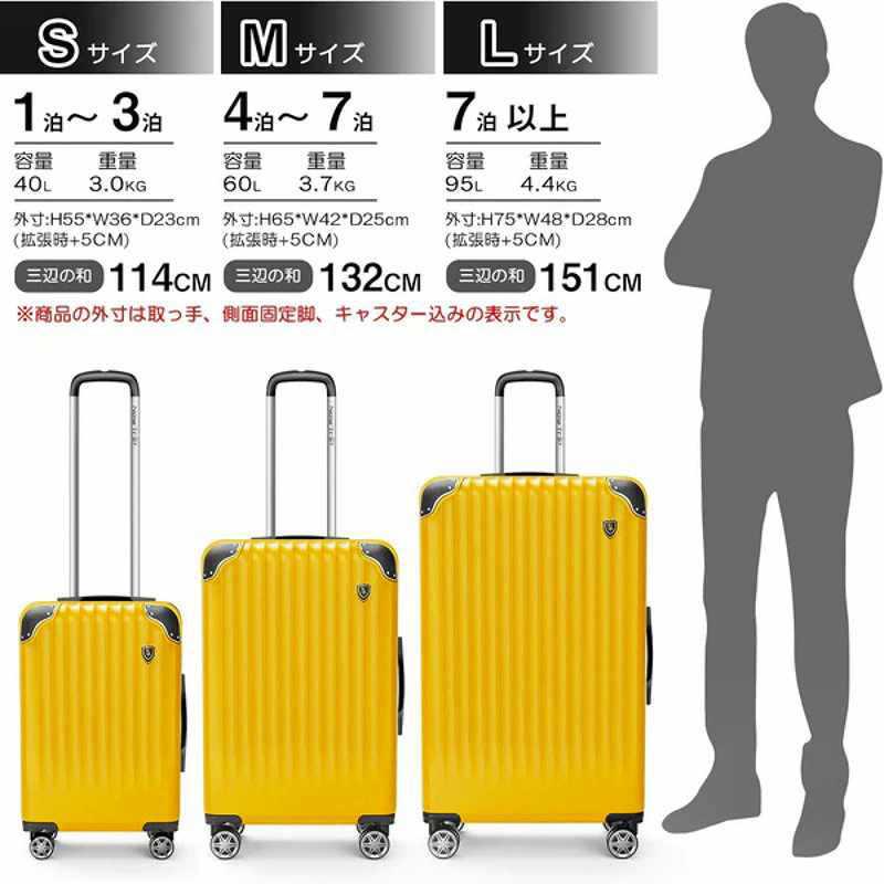 NEWTRIP 超軽量スーツケース 拡張機能付き 0201 Sサイズ 宿泊目安：1泊 