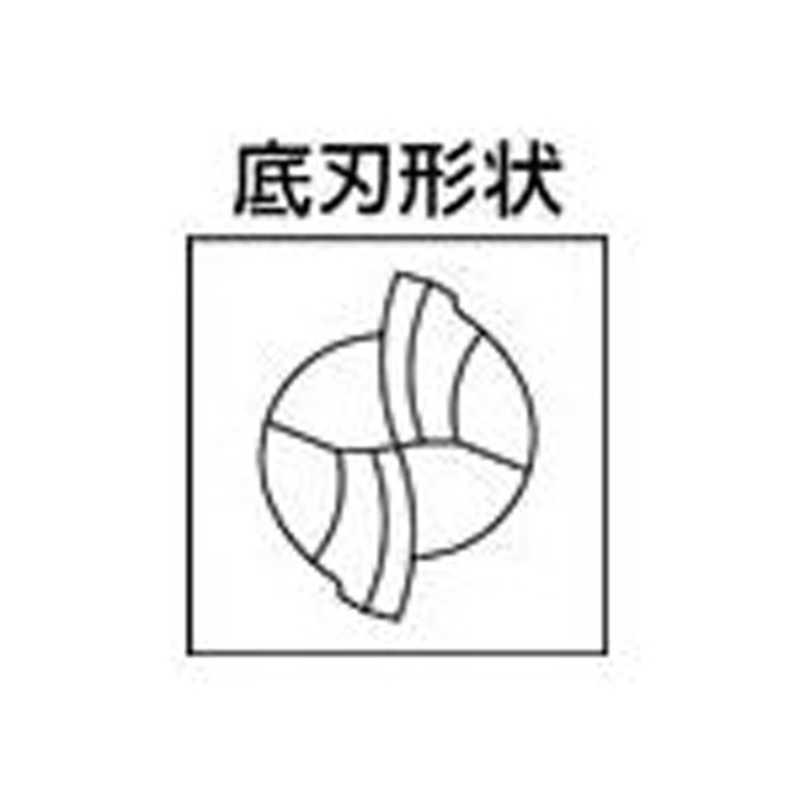 日進工具 無限コーティング 2枚刃ボールEM MSB230 R1(D6) MSB230R1D6
