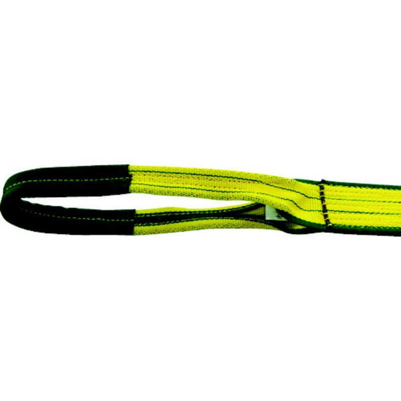 メガカイリューex SAR 【初期傷微ローラー線あり】 カイリューMAおまけ付き