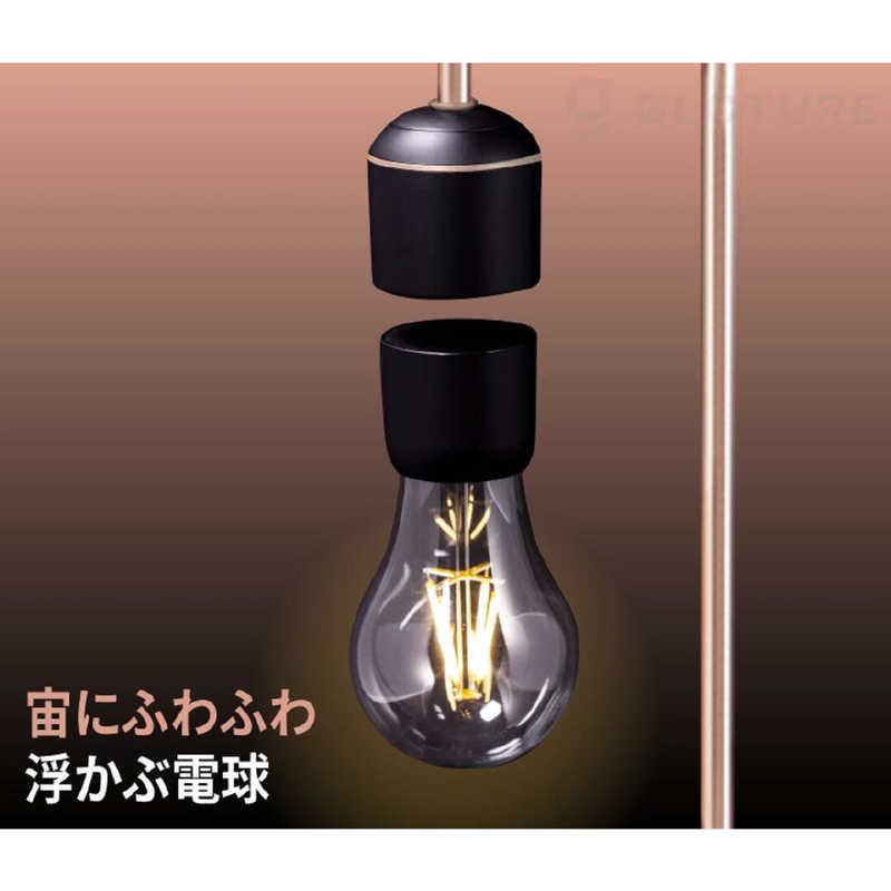 グローチャー あなたのひらめきを呼び覚ます！？宙に浮かぶ進化した