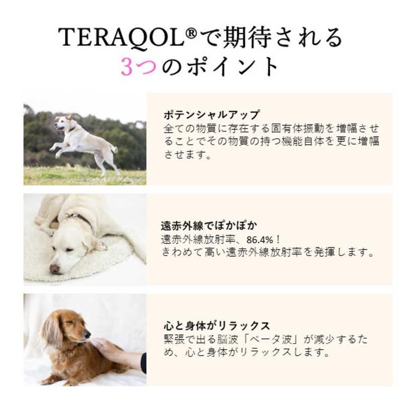 アレス　コロバニィ ペタプラス 犬用首輪 YORISOUカラー ブラック M 首周り32-45cm 内容量1本　