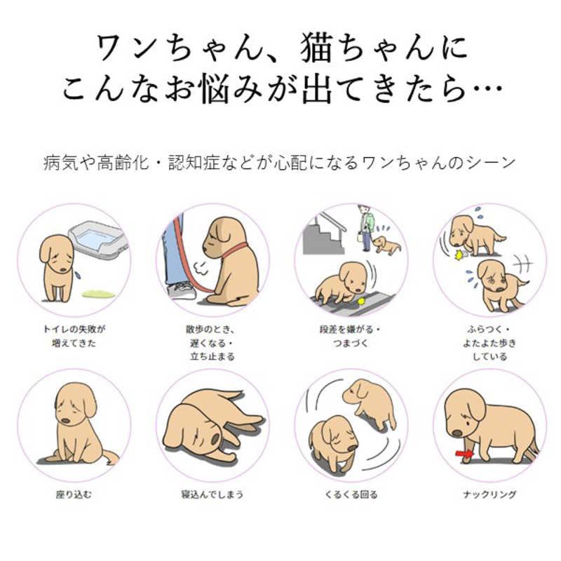 アレス　コロバニィ ペタプラス 犬用首輪 YORISOUカラー ブラック M 首周り32-45cm 内容量1本　