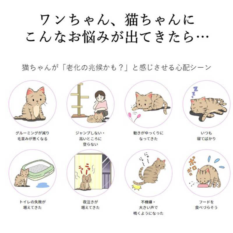 アレス　コロバニィ ペタプラス 犬用首輪 YORISOUカラー ブラック M 首周り32-45cm 内容量1本　