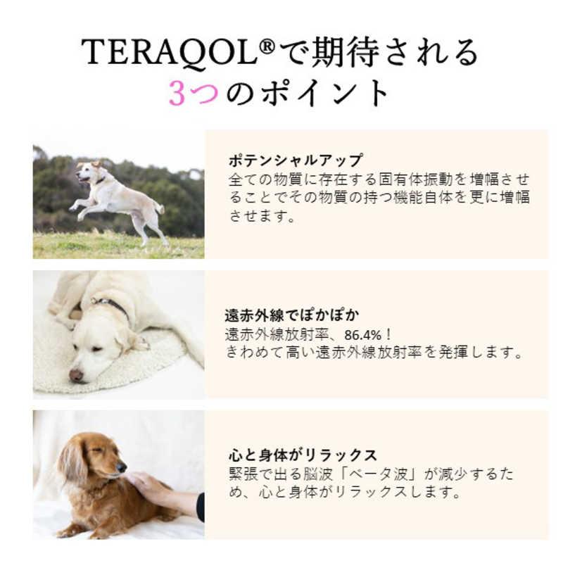 アレス　コロバニィ ペタプラス 犬用首輪 YORISOUカラー イエロー L 首周り43-58cm 内容量1本　60133L｜y-kojima｜06