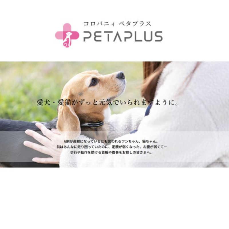 アレス コロバニィ ペタプラス 犬猫用腹巻き HARAMAKI グレー 5L 本体胴囲72cm 内容量本体二重1枚の画像