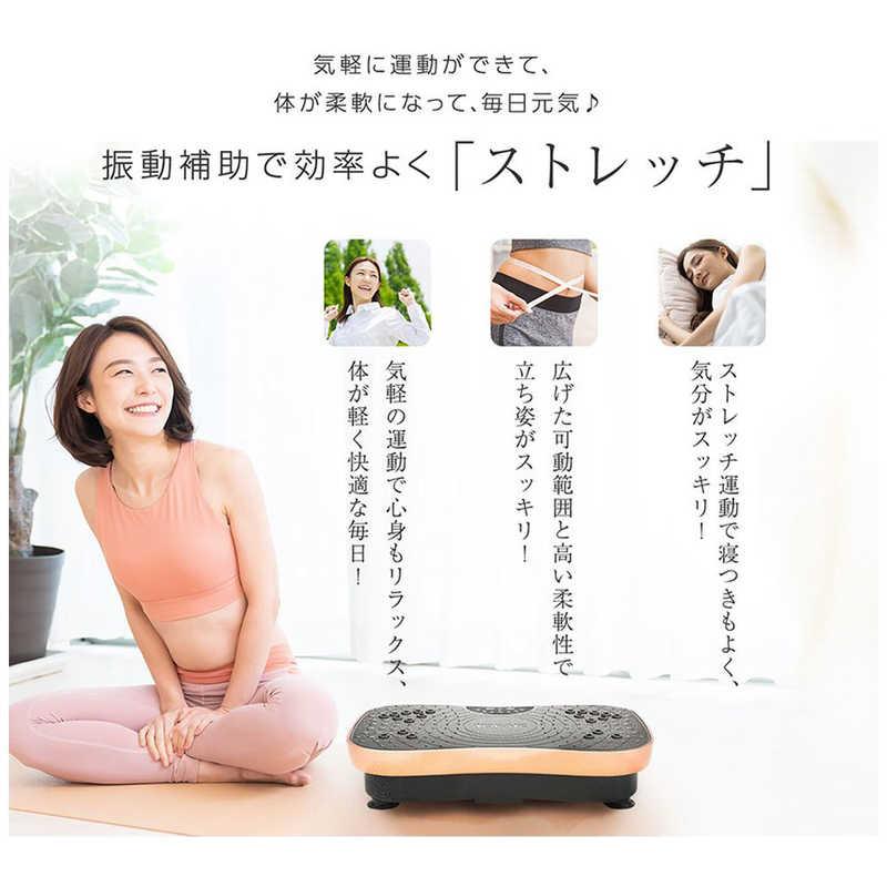 TOKAIZ　フィットネス 振動マシン ブラック　TVI-001s_5