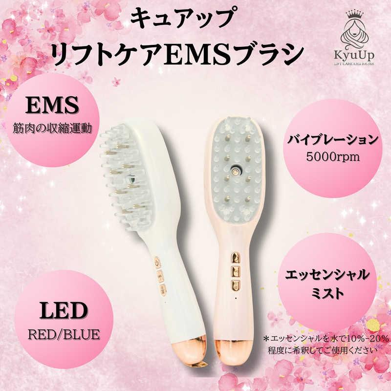 HUNTKEY ミストリフトケアブラシ ［EMS美顔器 / 国内・海外対応