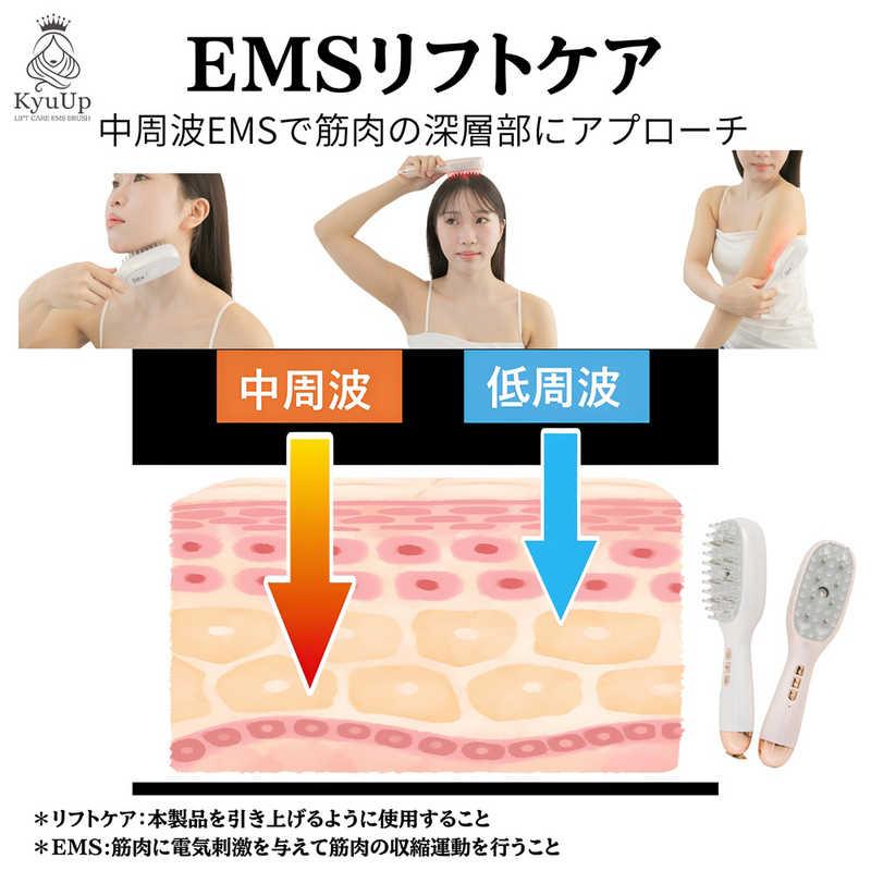 HUNTKEY ミストリフトケアブラシ ［EMS美顔器 / 国内・海外対応