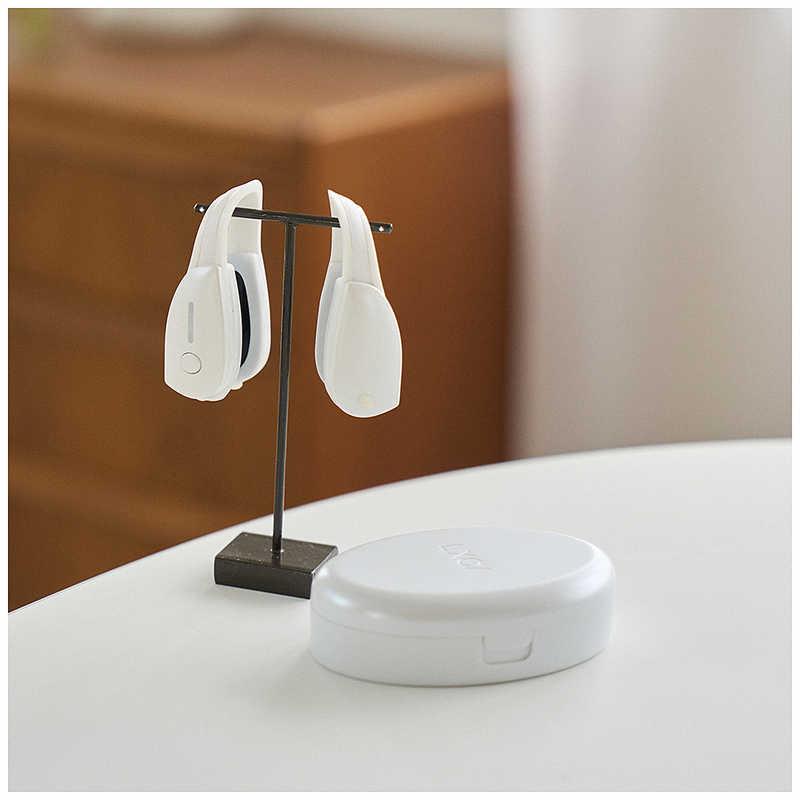 LUXCEAR 最新型 FornezPRO ［EMS美顔器 /国内・海外対応］ CS2420-0000