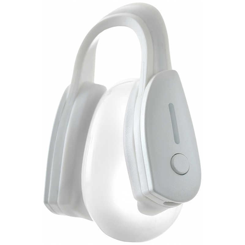 LUXCEAR 最新型 FornezPRO ［EMS美顔器 /国内・海外対応］ CS2420-0000