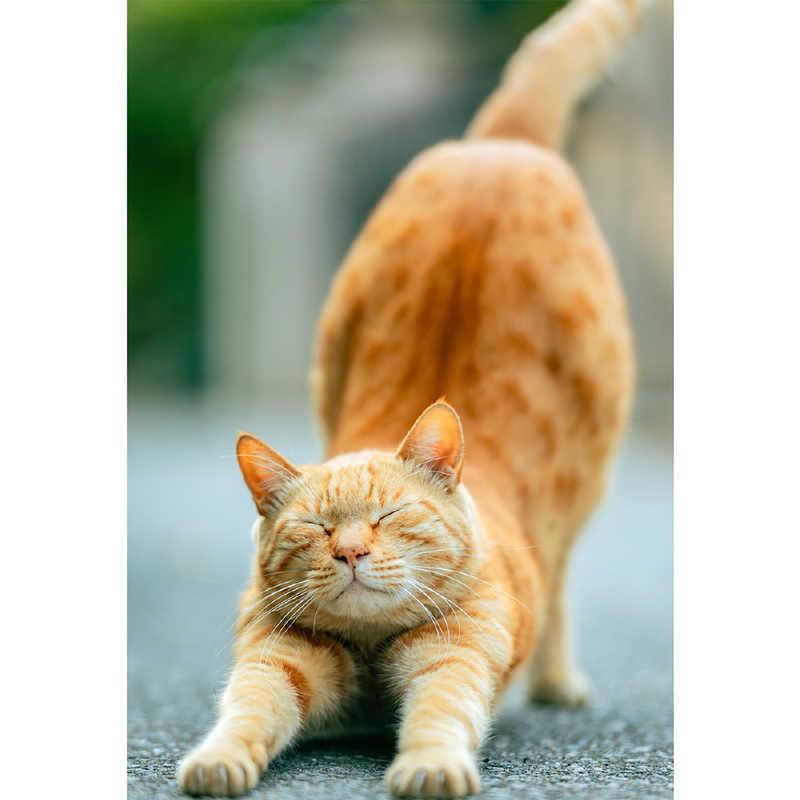 VILTROX　カメラレンズ Viltrox AF 75mm F1.2 PRO ソニーEマウント ブラック ［ ソニーE / 単焦点レンズ ］　AF751.2PROE_5