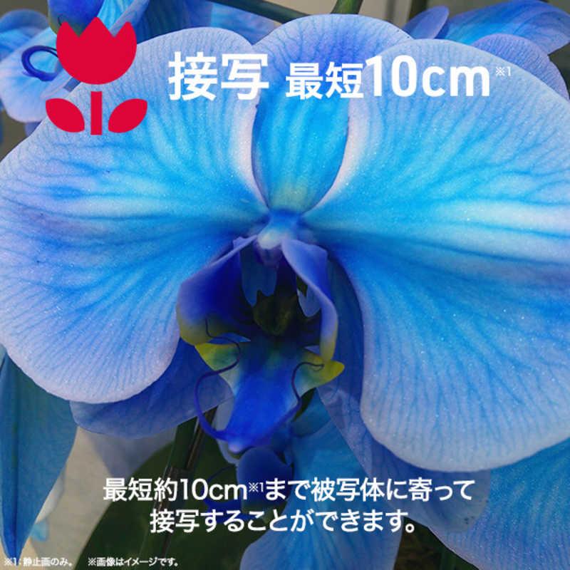 アイワ　AIWA　aiwa cam DCB コンパクトデジタルカメラ ライトブロンズ　JA4-DCM0001-LB_3