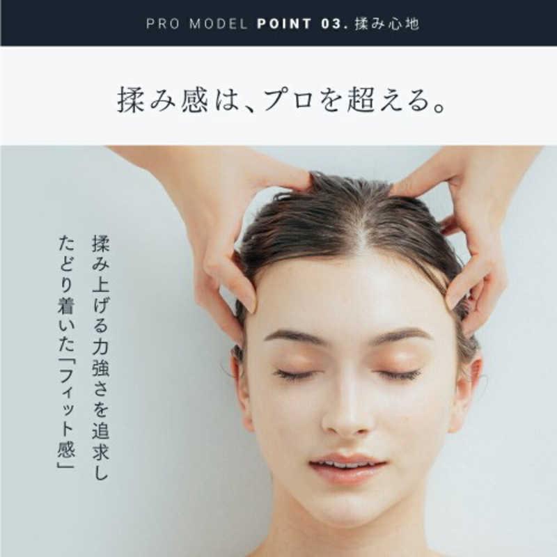 MYTREX 電気針 EMS HEAD SPA PRO(ヘッドスパ プロ) MT-EHP22B-B