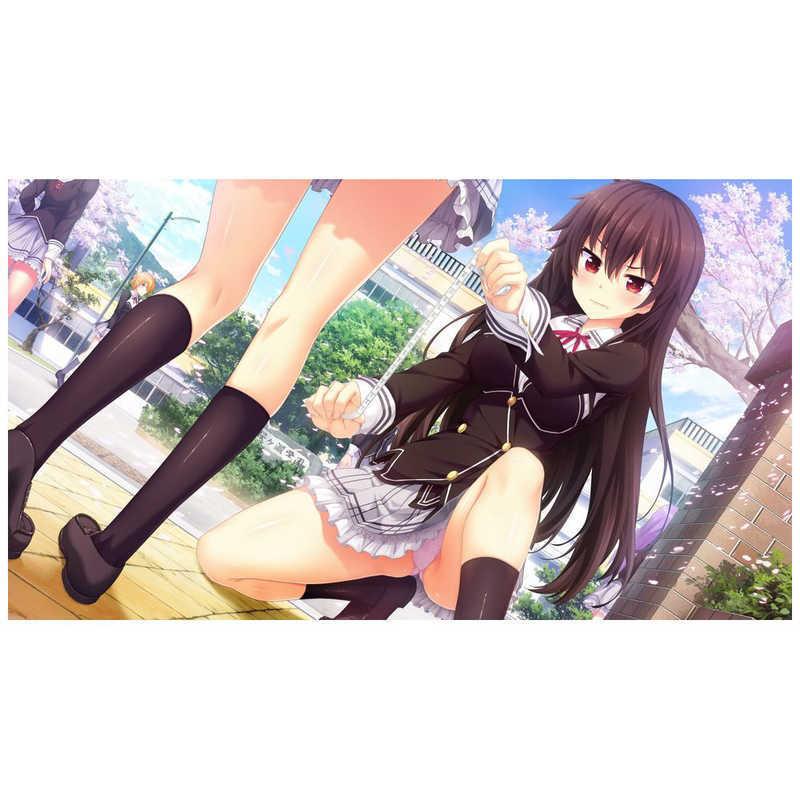 harukaze HARUKAZE PS4ゲームソフト ノラと皇女と野良猫ハート HD