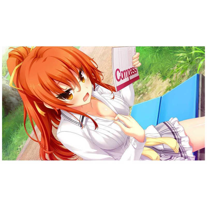 harukaze HARUKAZE PS4ゲームソフト ノラと皇女と野良猫ハート HD