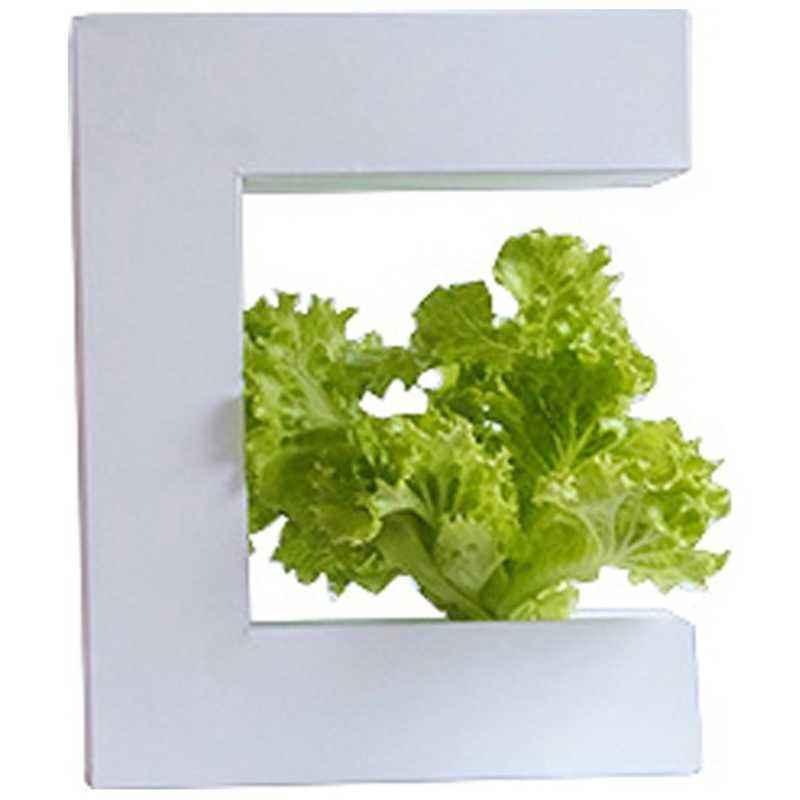 オリンピア照明 メーカー再生品 ａｋａｒｉｎａ１４ Oma14 ｏｍａ１４